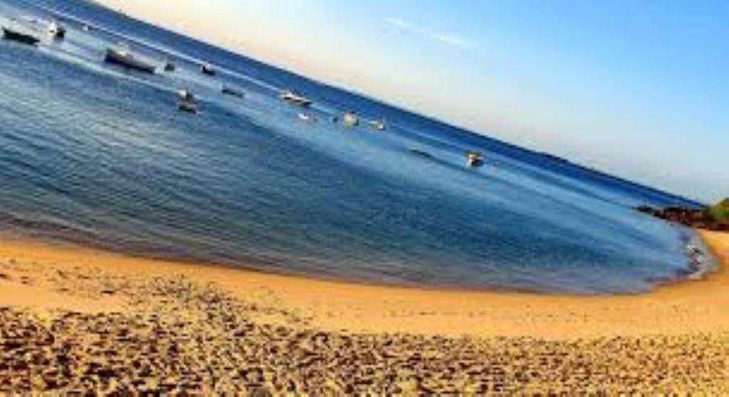 Maravilhoso Apartamento 2 Quartos Com Ofuro Porto Da Barra Salvador Summer Barra Flat Eksteriør billede